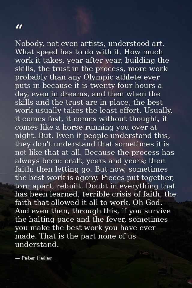 Nobody, not even artists, understood art. What speed has to do with it. How much work it takes, year after year, buildin — Peter Heller