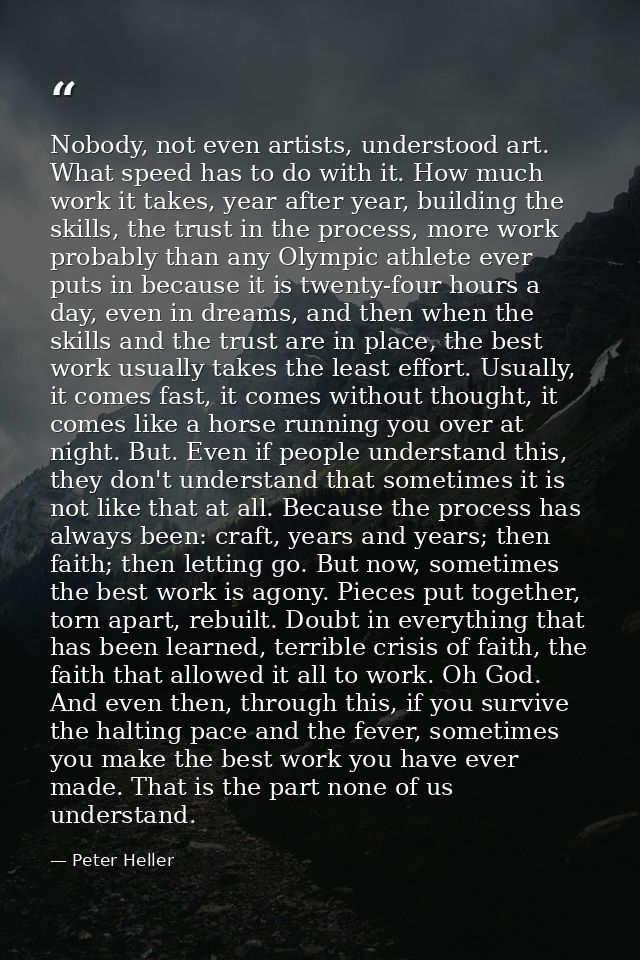 Nobody, not even artists, understood art. What speed has to do with it. How much work it takes, year after year, buildin — Peter Heller