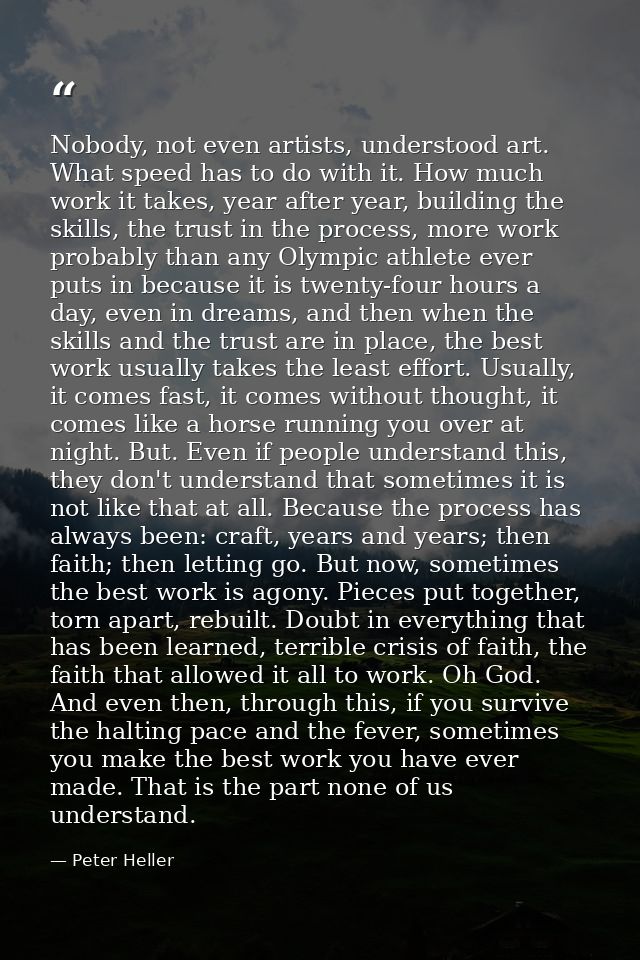 Nobody, not even artists, understood art. What speed has to do with it. How much work it takes, year after year, buildin — Peter Heller