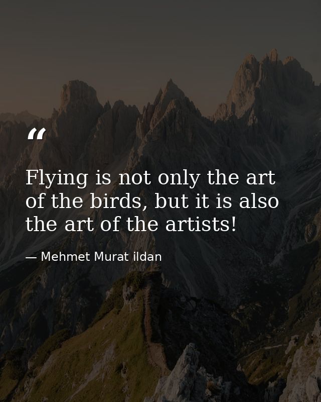 Flying is not only the art of the birds, but it is also the art of the artists! — Mehmet Murat ildan