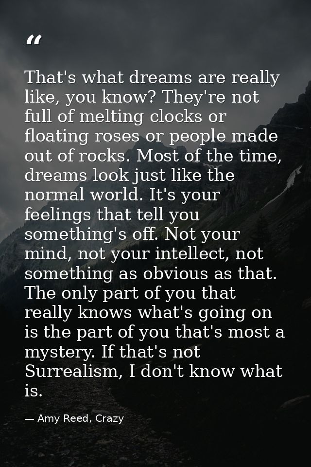 That's what dreams are really like, you know? They're not full of melting clocks or floating roses or people made out of — Amy Reed, Crazy