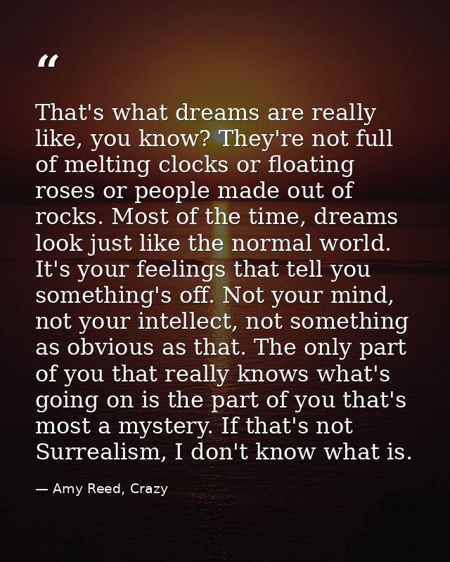 That's what dreams are really like, you know? They're not full of melting clocks or floating roses or people made out of — Amy Reed, Crazy