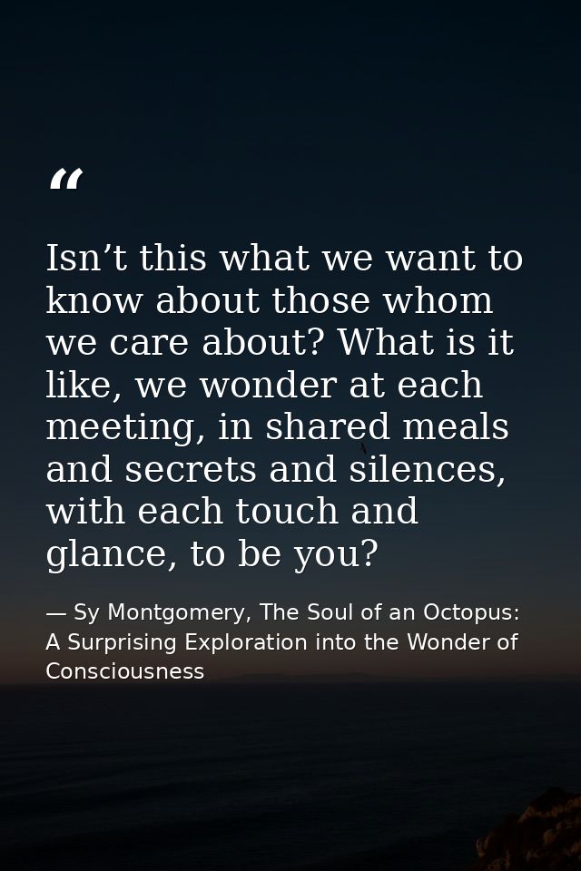 Isn’t this what we want to know about those whom we care about? What is it like, we wonder at each meeting, in shared me — Sy Montgomery, The Soul of an Octopus: A Surprising Exploration into the Wonder of Consciousness