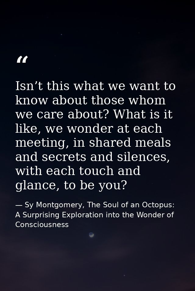Isn’t this what we want to know about those whom we care about? What is it like, we wonder at each meeting, in shared me — Sy Montgomery, The Soul of an Octopus: A Surprising Exploration into the Wonder of Consciousness