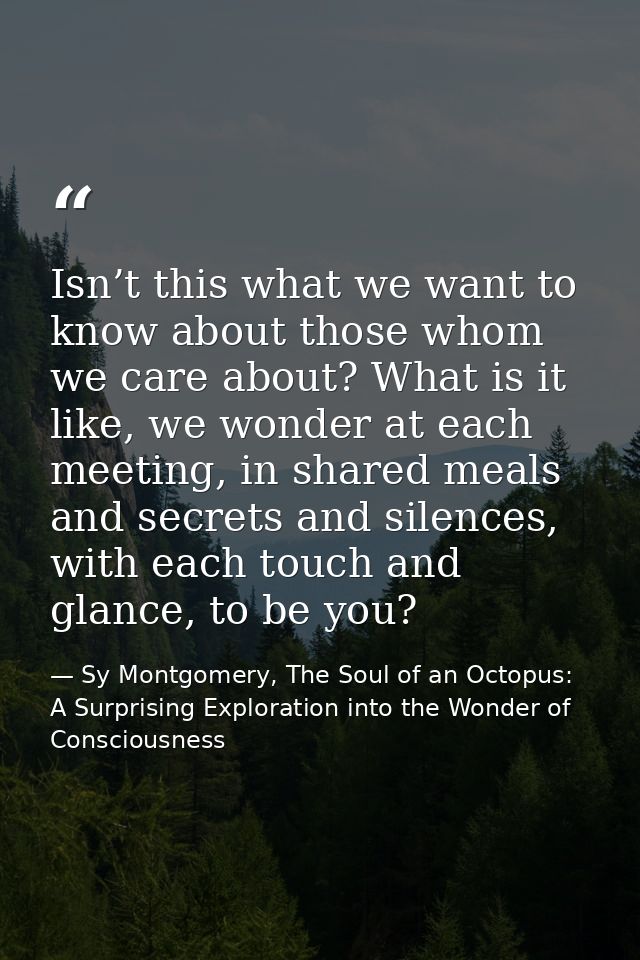 Isn’t this what we want to know about those whom we care about? What is it like, we wonder at each meeting, in shared me — Sy Montgomery, The Soul of an Octopus: A Surprising Exploration into the Wonder of Consciousness