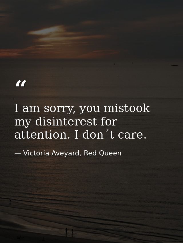 I am sorry, you mistook my disinterest for attention. I don´t care. — Victoria Aveyard, Red Queen