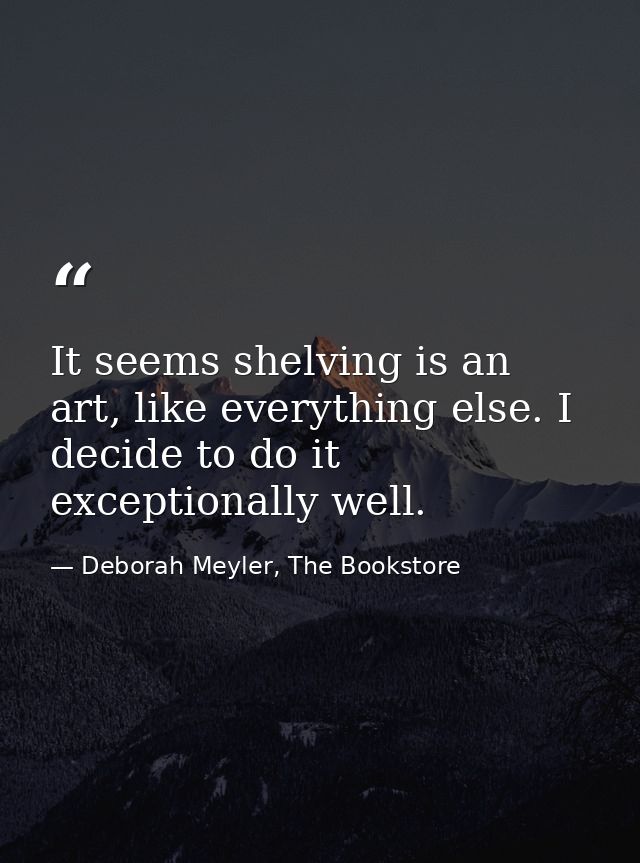 It seems shelving is an art, like everything else. I decide to do it exceptionally well. — Deborah Meyler, The Bookstore