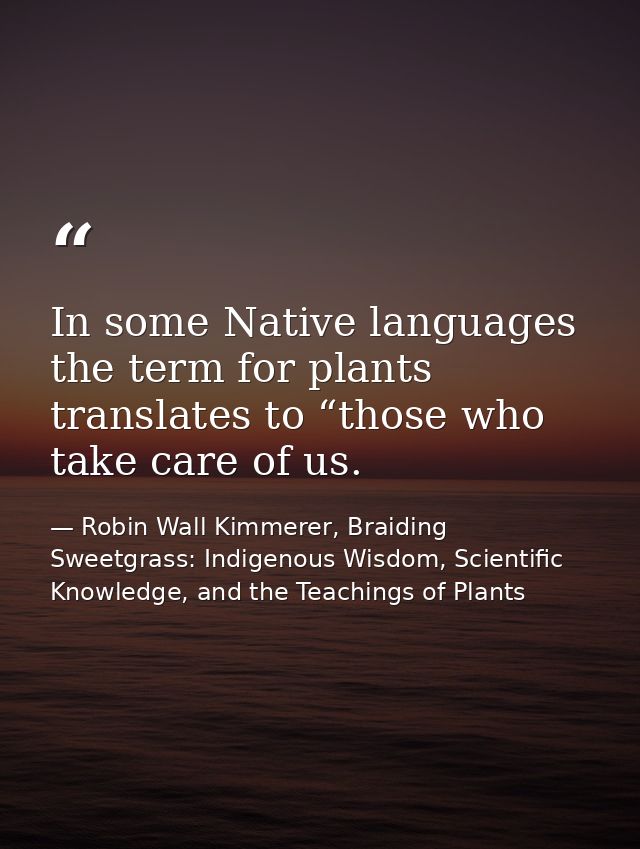 In some Native languages the term for plants translates to “those who take care of us. — Robin Wall Kimmerer, Braiding Sweetgrass: Indigenous Wisdom, Scientific Knowledge, and the Teachings of Plants