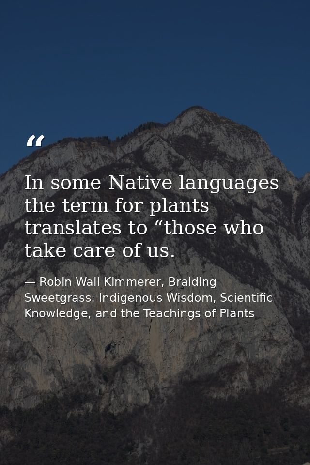 In some Native languages the term for plants translates to “those who take care of us. — Robin Wall Kimmerer, Braiding Sweetgrass: Indigenous Wisdom, Scientific Knowledge, and the Teachings of Plants