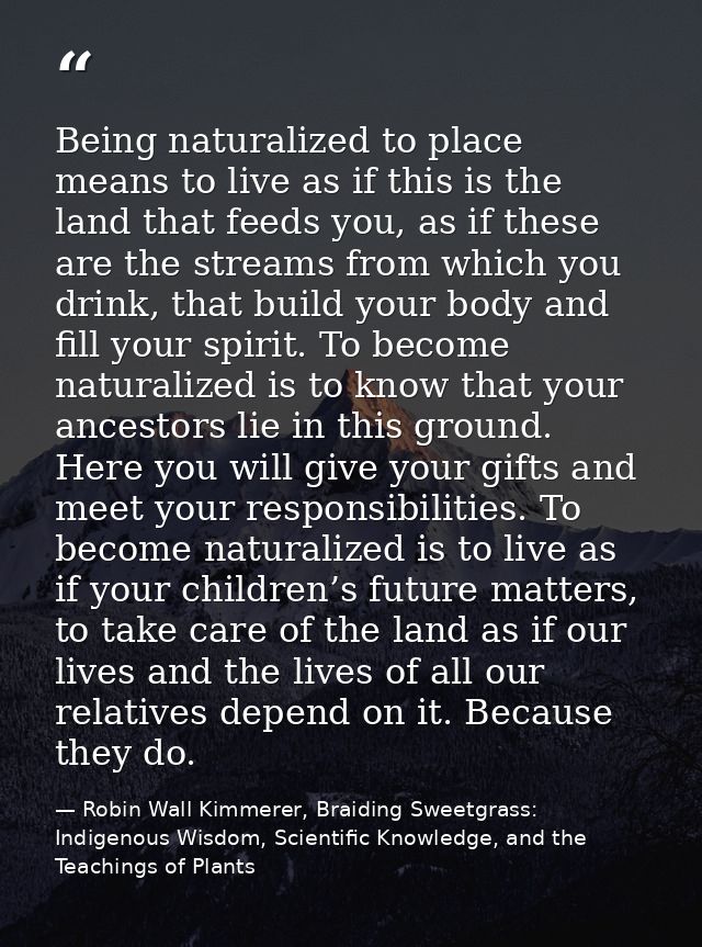 Being naturalized to place means to live as if this is the land that feeds you, as if these are the streams from which y — Robin Wall Kimmerer, Braiding Sweetgrass: Indigenous Wisdom, Scientific Knowledge, and the Teachings of Plants