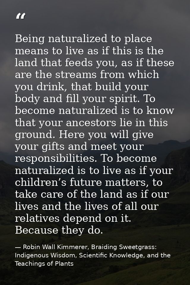 Being naturalized to place means to live as if this is the land that feeds you, as if these are the streams from which y — Robin Wall Kimmerer, Braiding Sweetgrass: Indigenous Wisdom, Scientific Knowledge, and the Teachings of Plants