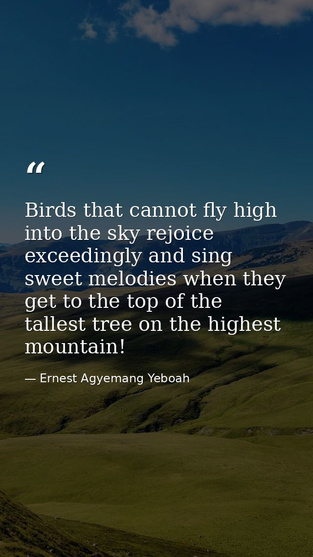Birds that cannot fly high into the sky rejoice exceedingly and sing sweet melodies when they get to the top of the tall — Ernest Agyemang Yeboah
