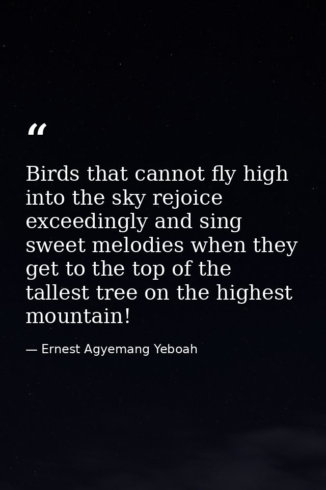 Birds that cannot fly high into the sky rejoice exceedingly and sing sweet melodies when they get to the top of the tall — Ernest Agyemang Yeboah