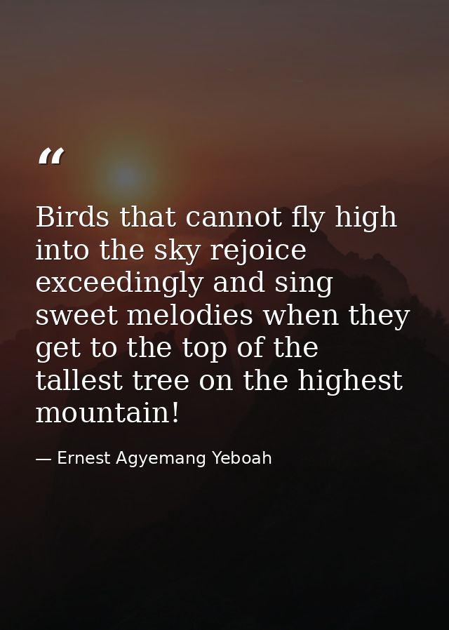 Birds that cannot fly high into the sky rejoice exceedingly and sing sweet melodies when they get to the top of the tall — Ernest Agyemang Yeboah