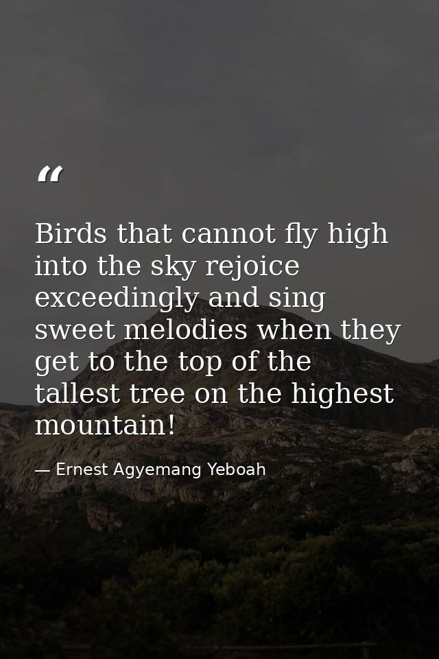 Birds that cannot fly high into the sky rejoice exceedingly and sing sweet melodies when they get to the top of the tall — Ernest Agyemang Yeboah