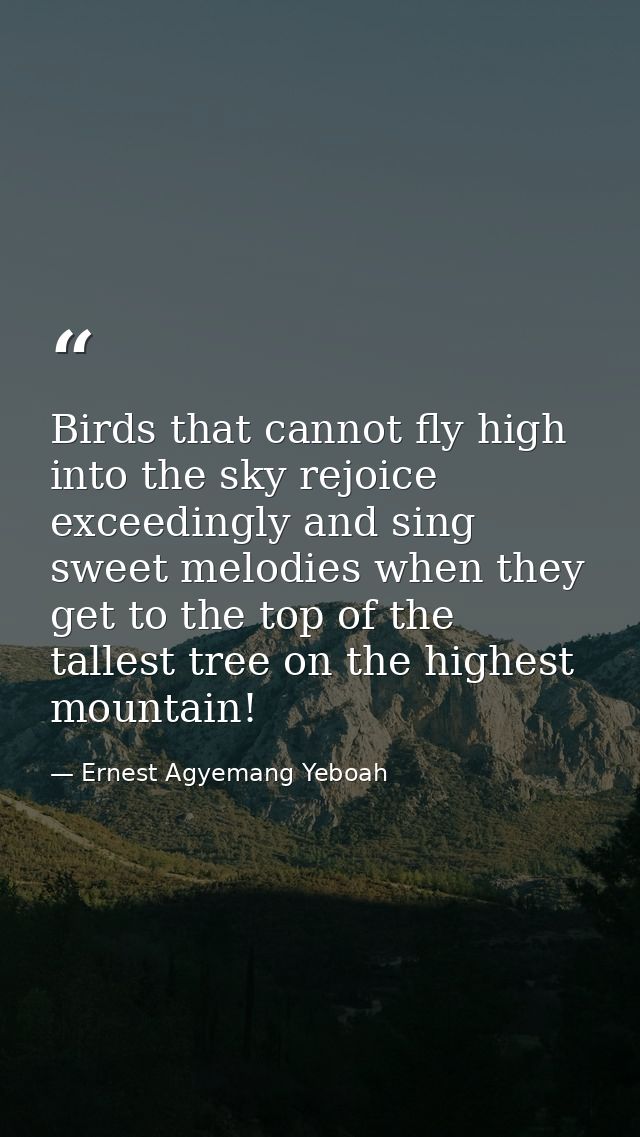 Birds that cannot fly high into the sky rejoice exceedingly and sing sweet melodies when they get to the top of the tall — Ernest Agyemang Yeboah