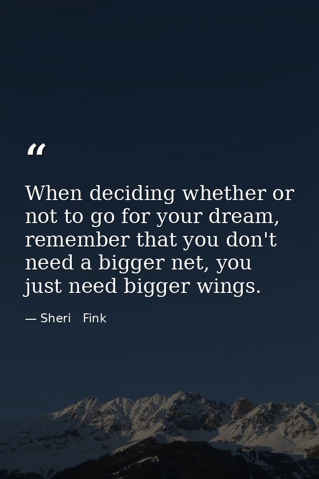 When deciding whether or not to go for your dream, remember that you don't need a bigger net, you just need bigger wings — Sheri   Fink