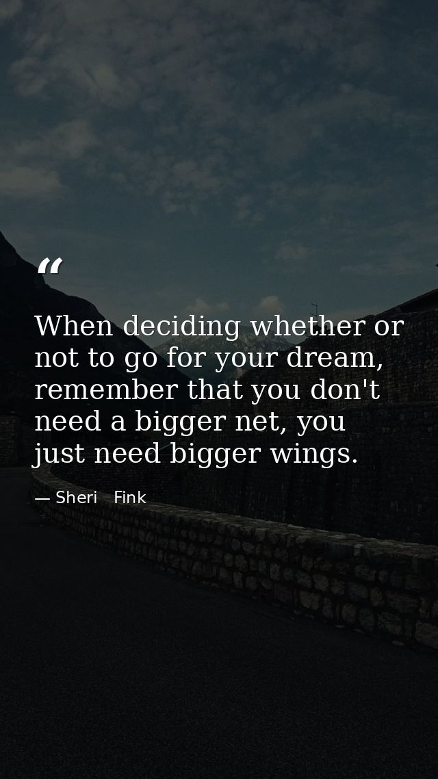 When deciding whether or not to go for your dream, remember that you don't need a bigger net, you just need bigger wings — Sheri   Fink