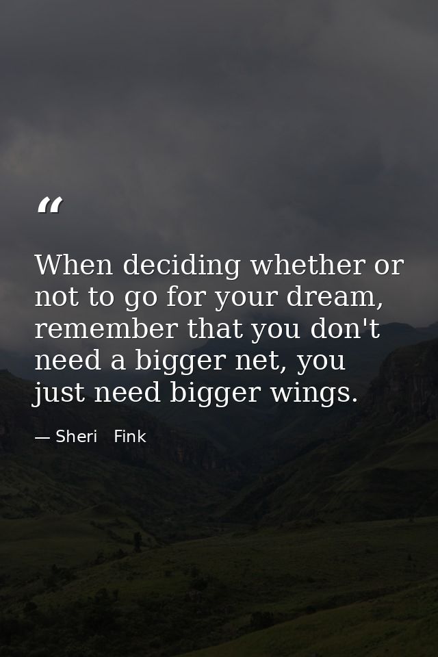 When deciding whether or not to go for your dream, remember that you don't need a bigger net, you just need bigger wings — Sheri   Fink