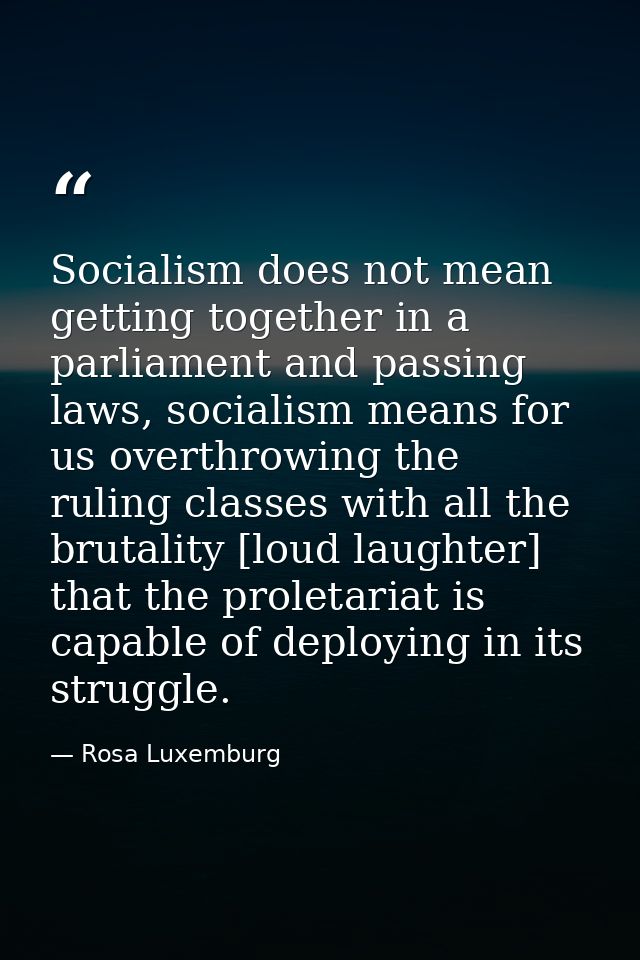 Socialism does not mean getting together in a parliament and passing laws, socialism means for us overthrowing the rulin — Rosa Luxemburg