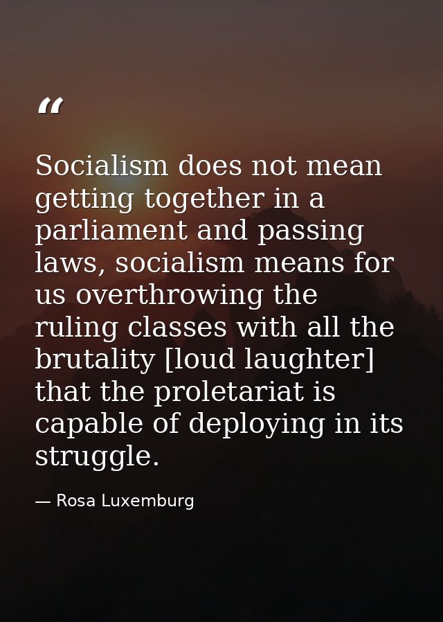 Socialism does not mean getting together in a parliament and passing laws, socialism means for us overthrowing the rulin — Rosa Luxemburg