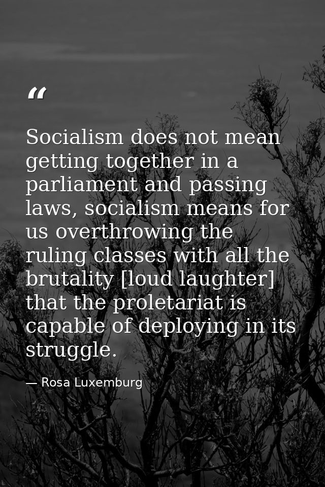 Socialism does not mean getting together in a parliament and passing laws, socialism means for us overthrowing the rulin — Rosa Luxemburg
