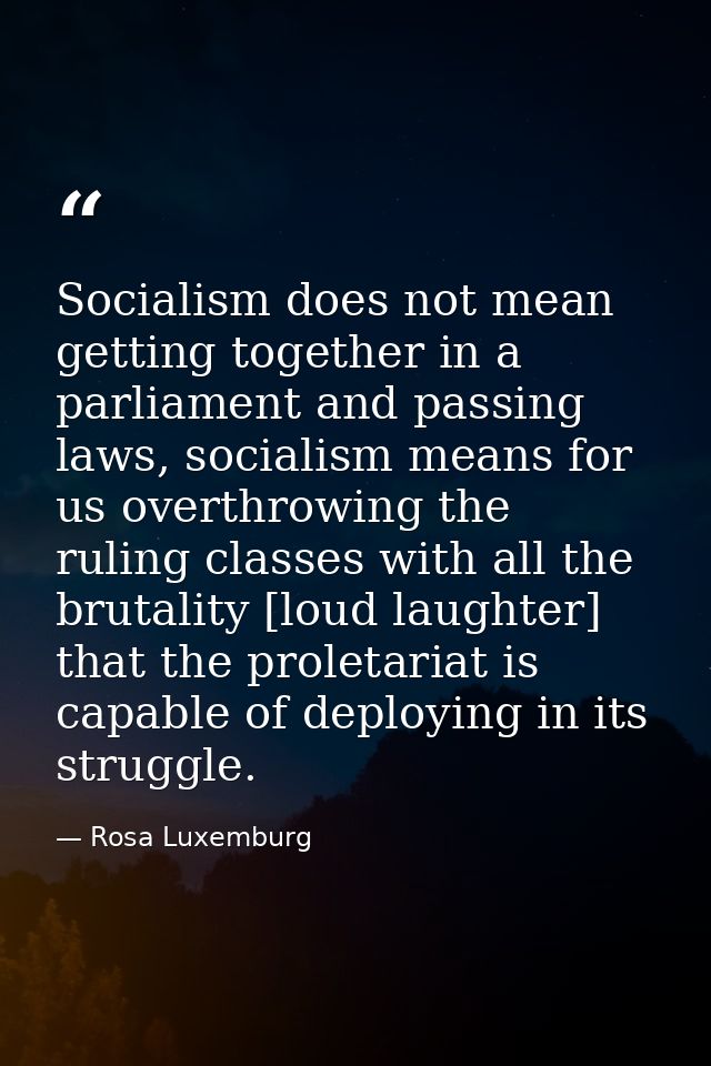 Socialism does not mean getting together in a parliament and passing laws, socialism means for us overthrowing the rulin — Rosa Luxemburg
