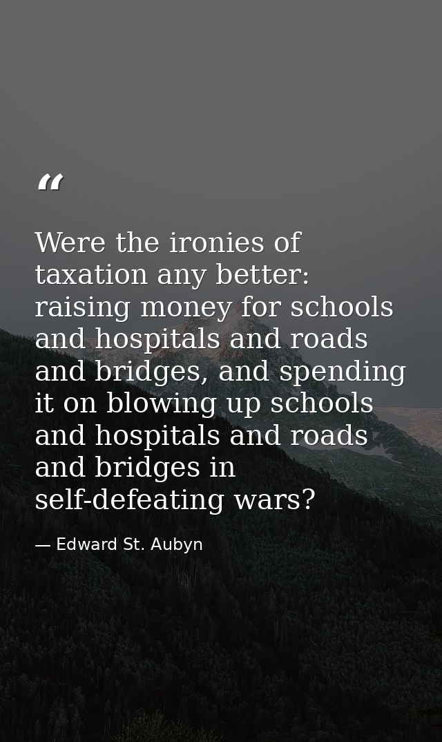 Were the ironies of taxation any better: raising money for schools and hospitals and roads and bridges, and spending it  — Edward St. Aubyn