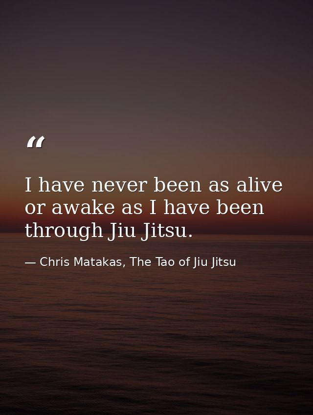 I have never been as alive or awake as I have been through Jiu Jitsu. — Chris Matakas, The Tao of Jiu Jitsu