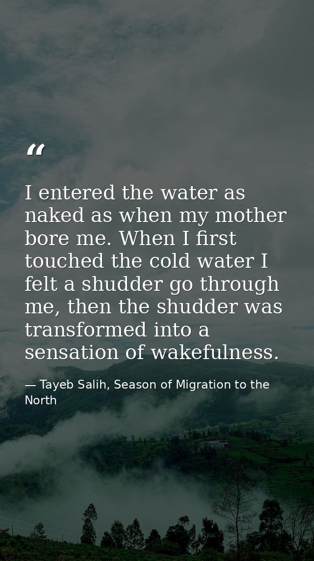 I entered the water as naked as when my mother bore me. When I first touched the cold water I felt a shudder go through  — Tayeb Salih, Season of Migration to the North