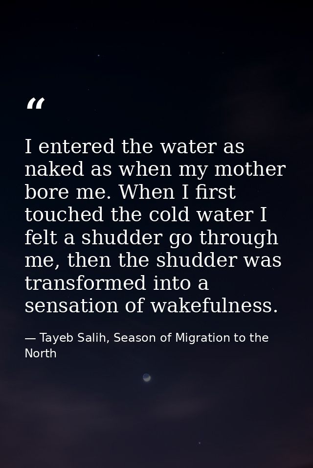 I entered the water as naked as when my mother bore me. When I first touched the cold water I felt a shudder go through  — Tayeb Salih, Season of Migration to the North