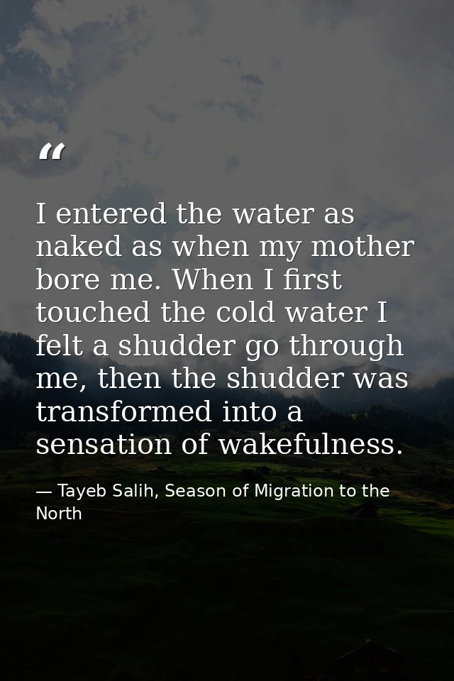 I entered the water as naked as when my mother bore me. When I first touched the cold water I felt a shudder go through  — Tayeb Salih, Season of Migration to the North