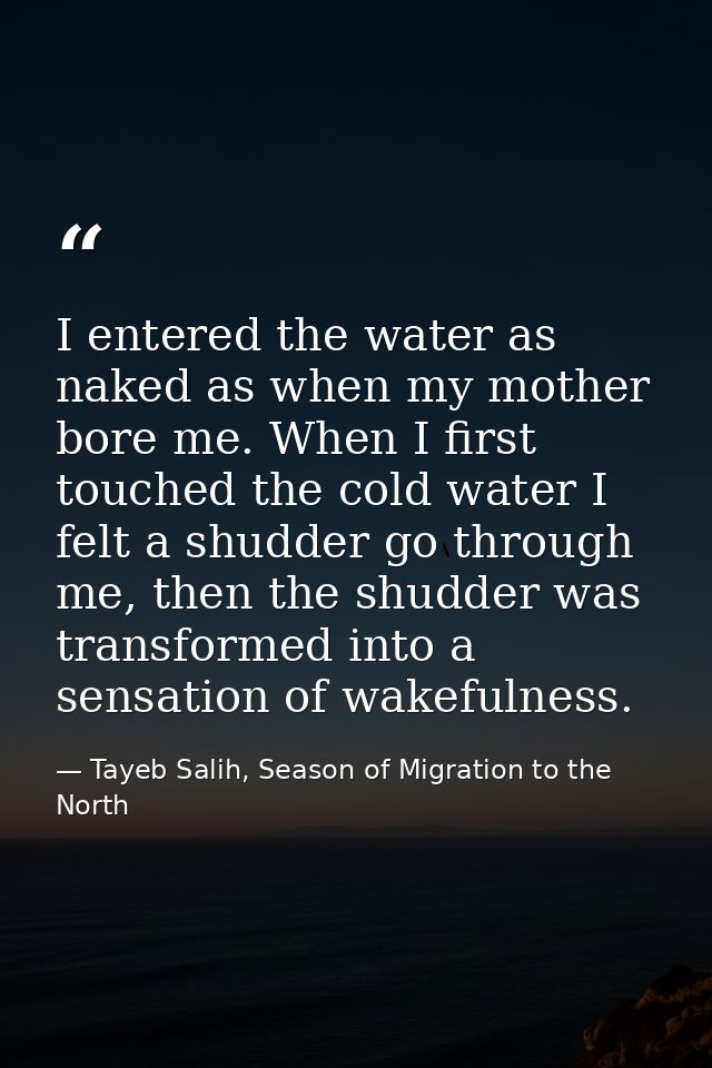 I entered the water as naked as when my mother bore me. When I first touched the cold water I felt a shudder go through  — Tayeb Salih, Season of Migration to the North