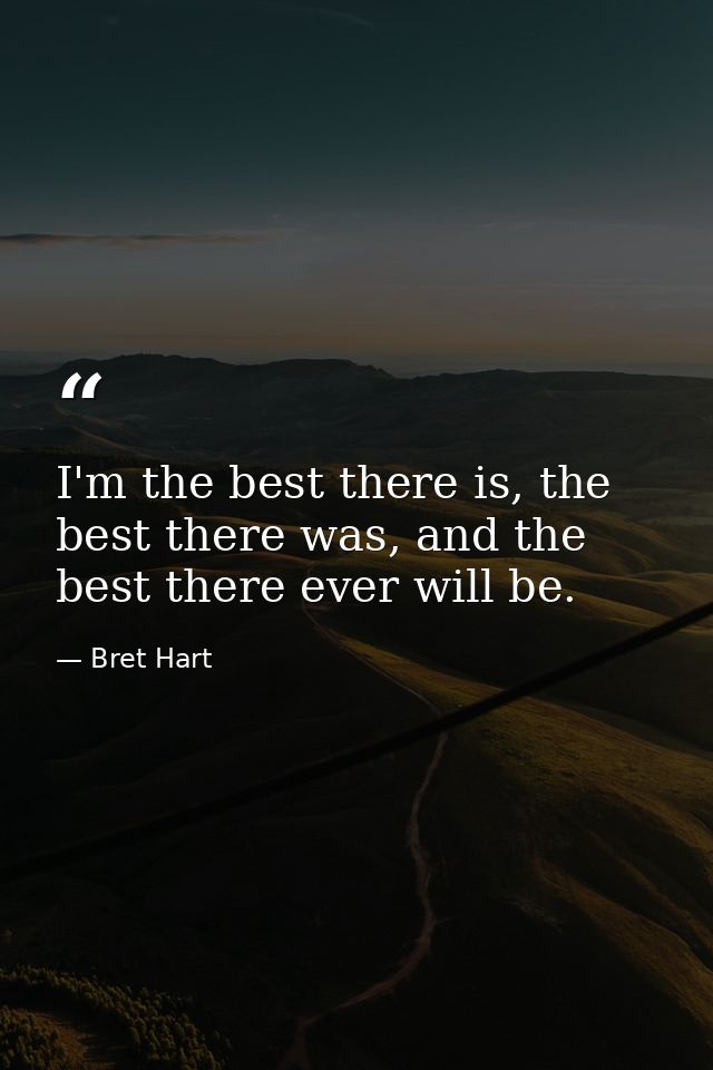 I'm the best there is, the best there was, and the best there ever will be. — Bret Hart