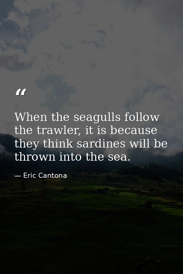 When the seagulls follow the trawler, it is because they think sardines will be thrown into the sea. — Eric Cantona