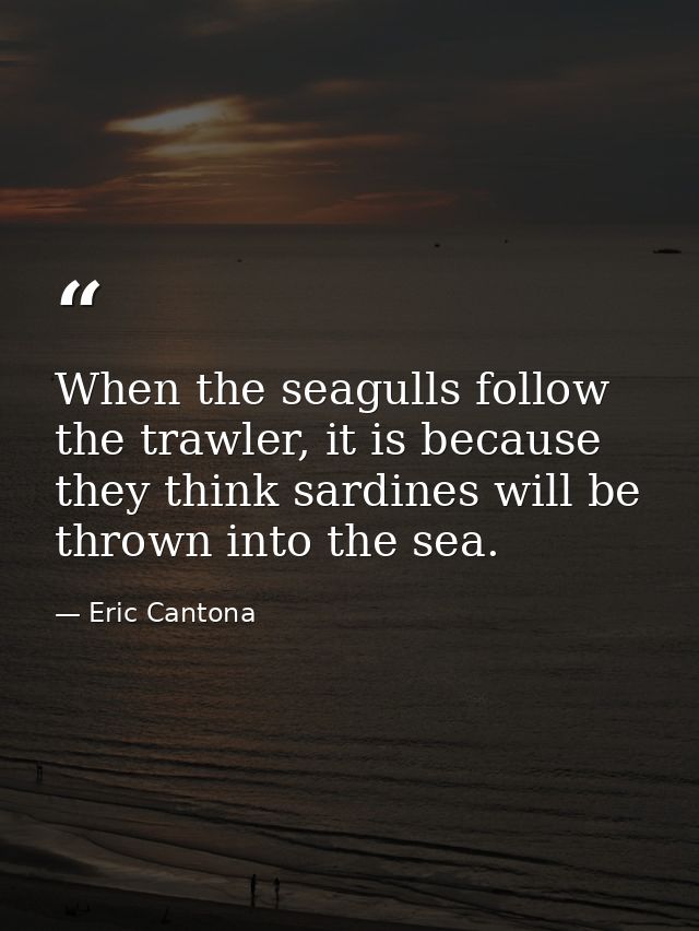 When the seagulls follow the trawler, it is because they think sardines will be thrown into the sea. — Eric Cantona