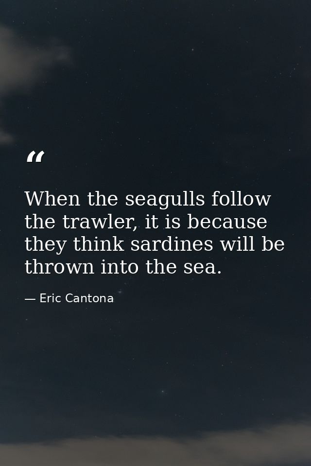 When the seagulls follow the trawler, it is because they think sardines will be thrown into the sea. — Eric Cantona