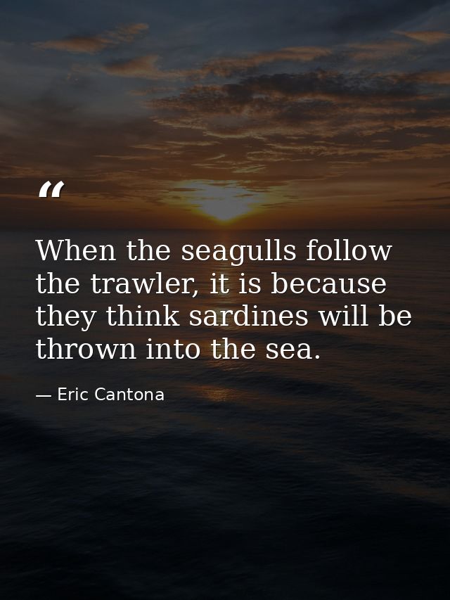 When the seagulls follow the trawler, it is because they think sardines will be thrown into the sea. — Eric Cantona
