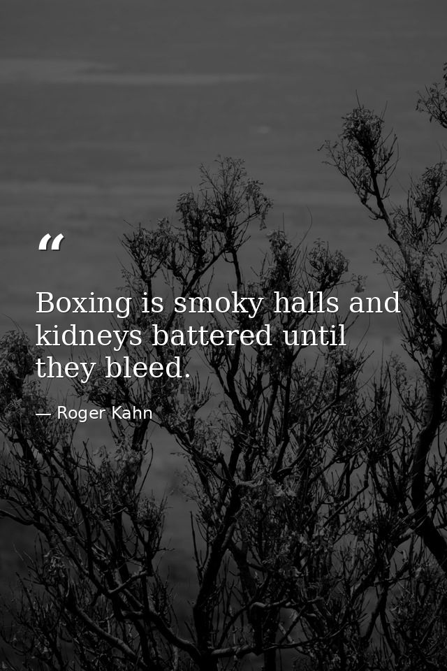 Boxing is smoky halls and kidneys battered until they bleed. — Roger Kahn