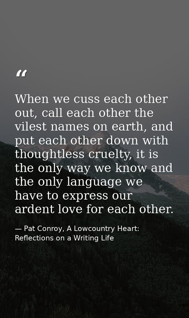 When we cuss each other out, call each other the vilest names on earth, and put each other down with thoughtless cruelty — Pat Conroy, A Lowcountry Heart: Reflections on a Writing Life