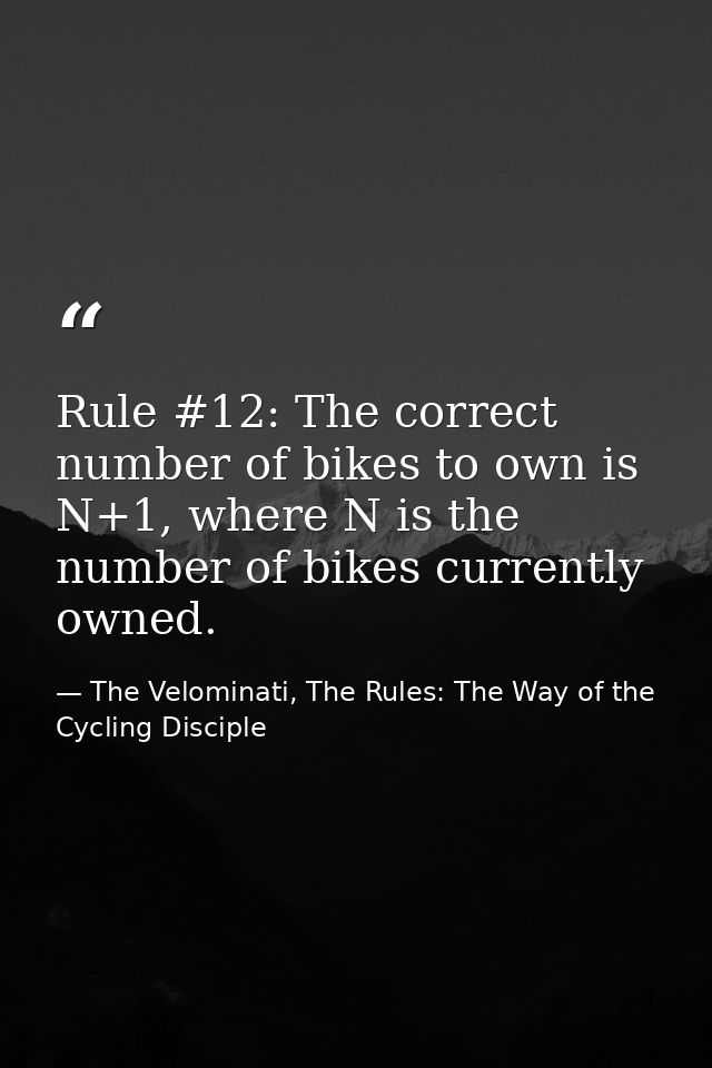 Rule #12: The correct number of bikes to own is N+1, where N is the number of bikes currently owned. — The Velominati, The Rules: The Way of the Cycling Disciple