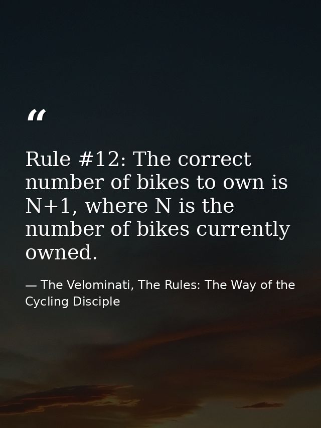 Rule #12: The correct number of bikes to own is N+1, where N is the number of bikes currently owned. — The Velominati, The Rules: The Way of the Cycling Disciple