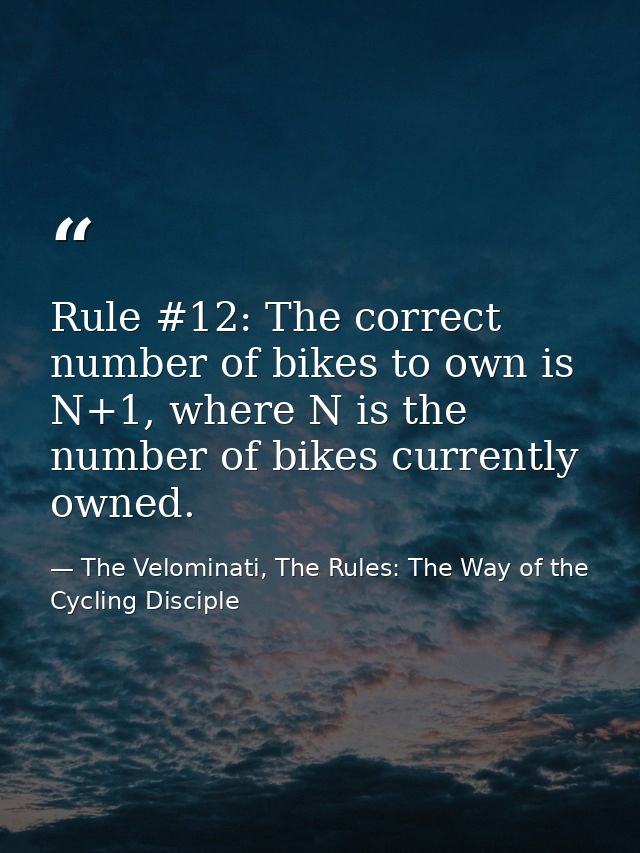 Rule #12: The correct number of bikes to own is N+1, where N is the number of bikes currently owned. — The Velominati, The Rules: The Way of the Cycling Disciple