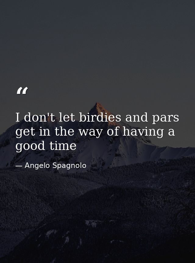 I don't let birdies and pars get in the way of having a good time — Angelo Spagnolo