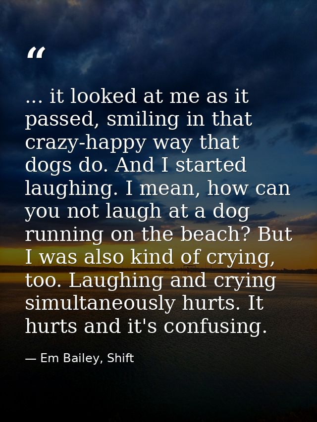 ... it looked at me as it passed, smiling in that crazy-happy way that dogs do. And I started laughing. I mean, how can  — Em Bailey, Shift