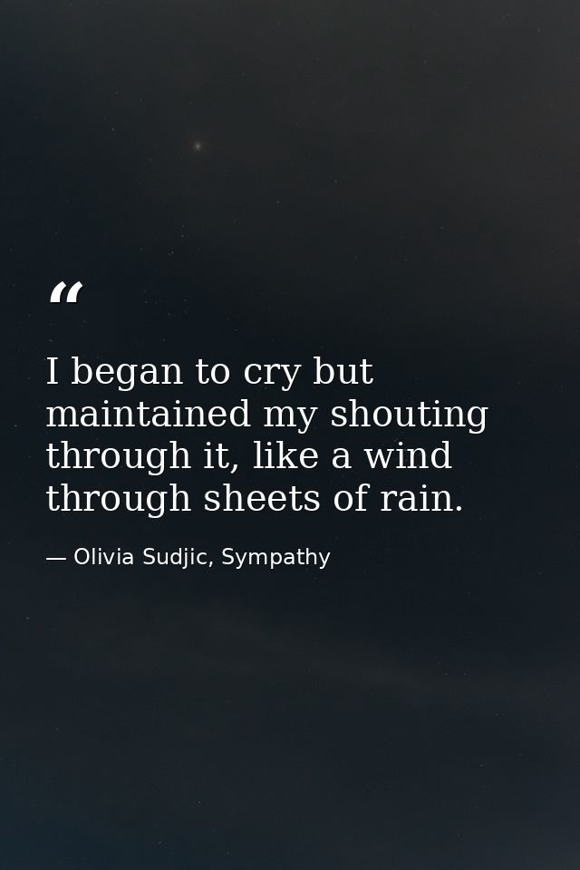 I began to cry but maintained my shouting through it, like a wind through sheets of rain. — Olivia Sudjic, Sympathy