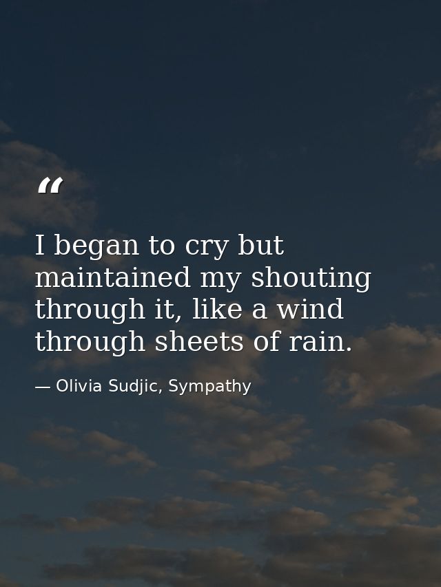I began to cry but maintained my shouting through it, like a wind through sheets of rain. — Olivia Sudjic, Sympathy