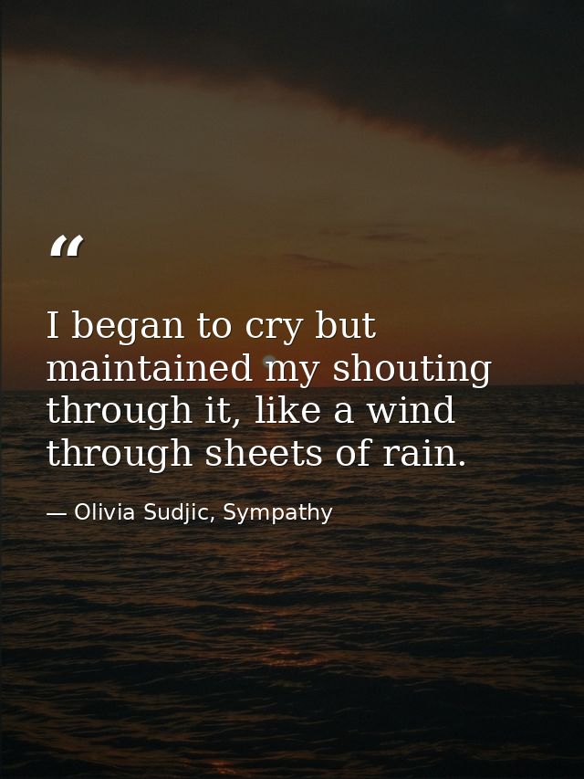 I began to cry but maintained my shouting through it, like a wind through sheets of rain. — Olivia Sudjic, Sympathy