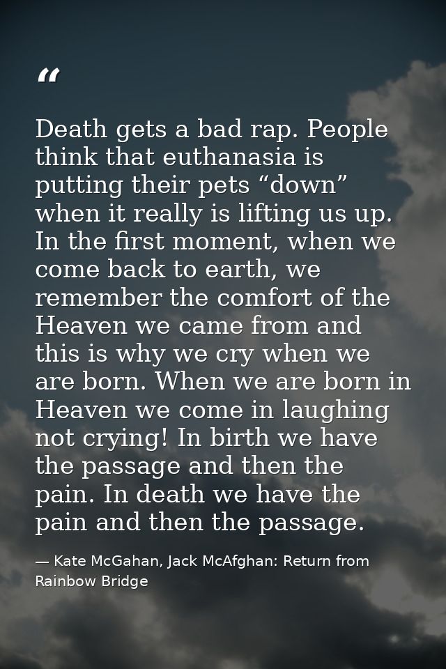 Death gets a bad rap. People think that euthanasia is putting their pets “down” when it really is lifting us up. In the  — Kate McGahan, Jack McAfghan: Return from Rainbow Bridge