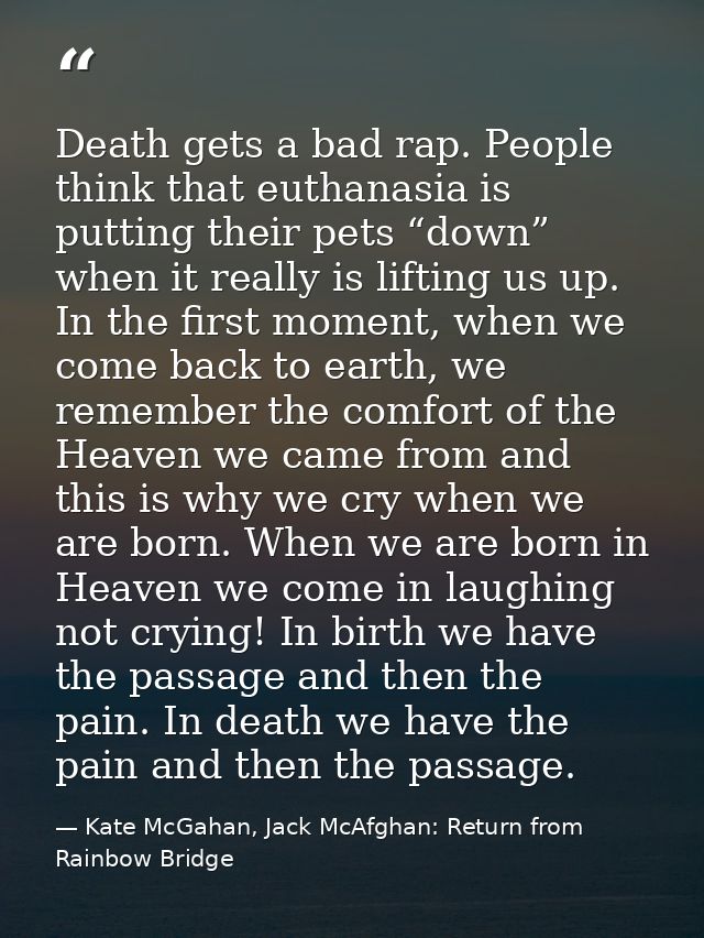 Death gets a bad rap. People think that euthanasia is putting their pets “down” when it really is lifting us up. In the  — Kate McGahan, Jack McAfghan: Return from Rainbow Bridge